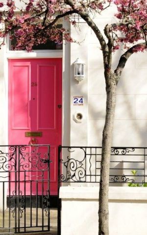 Luscious pink front door white house blossom.jpg